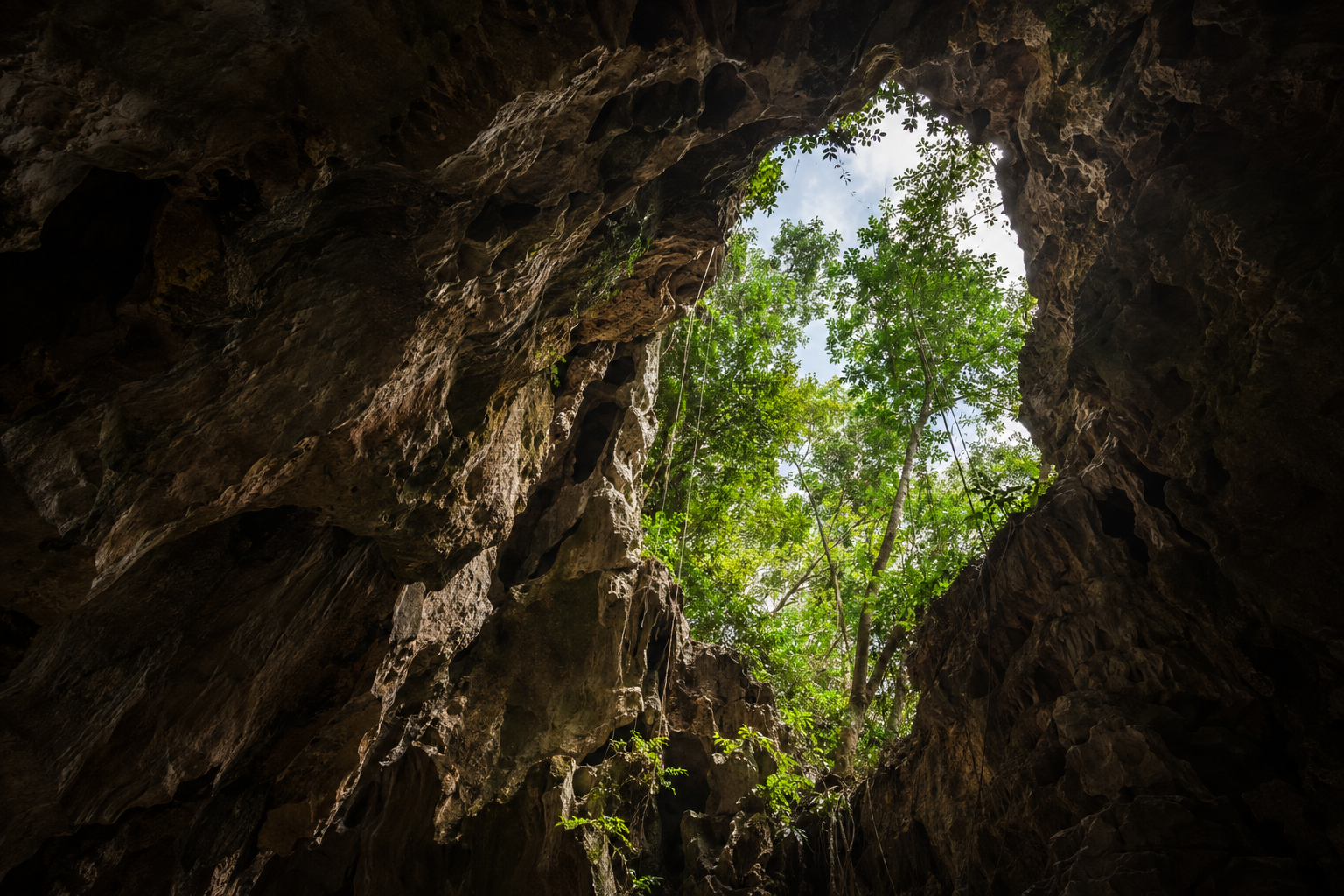Galería de la experiencia 3