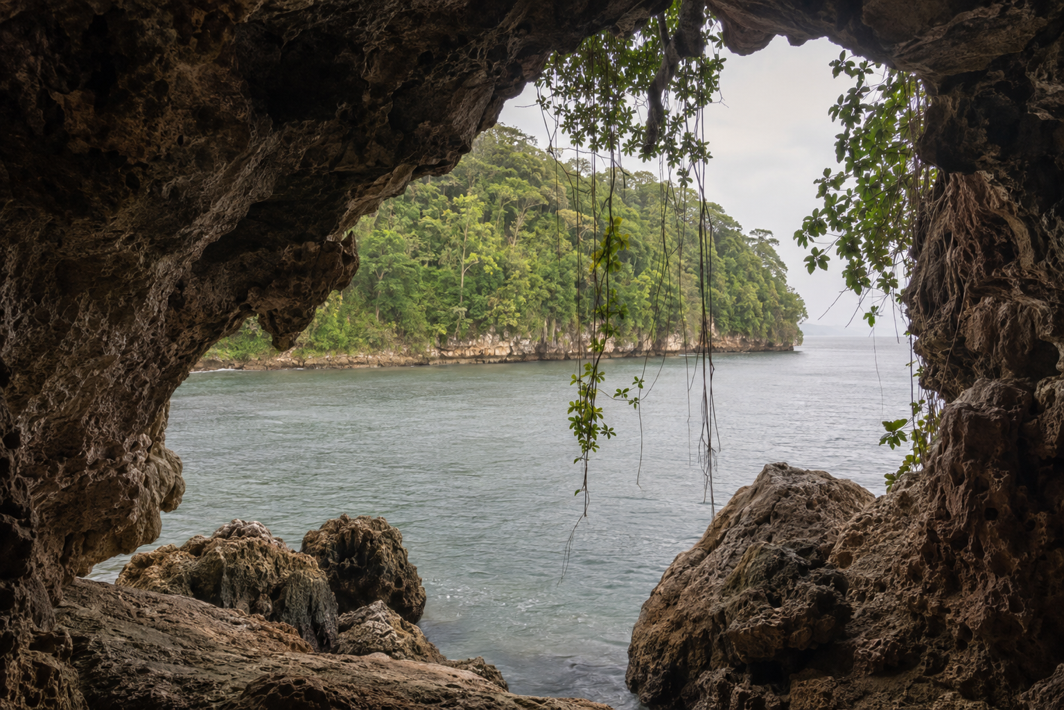 Galería de la experiencia 2