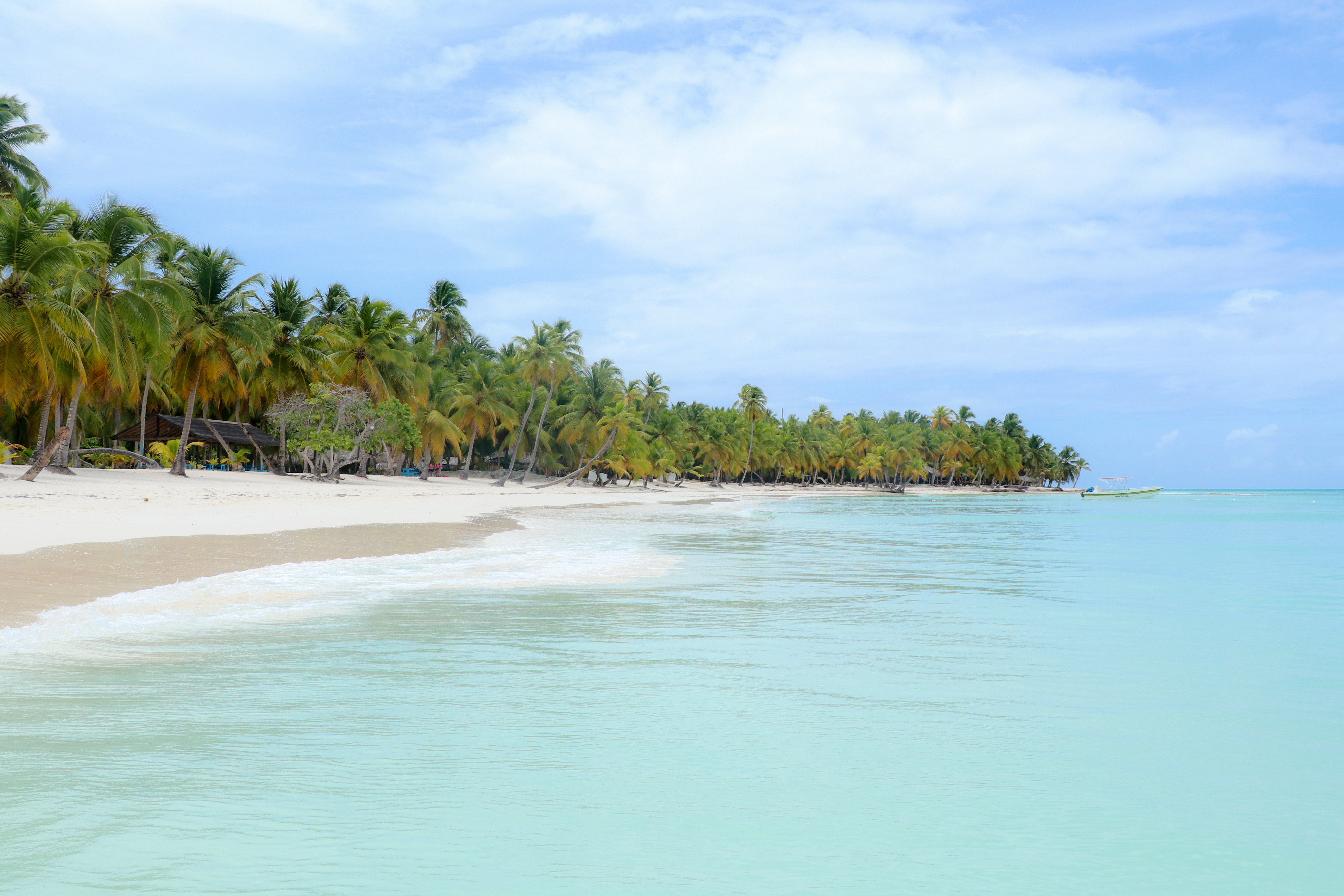 Saona Island Tour in Punta Cana with Lunch Included in Bayahibe and La Romana