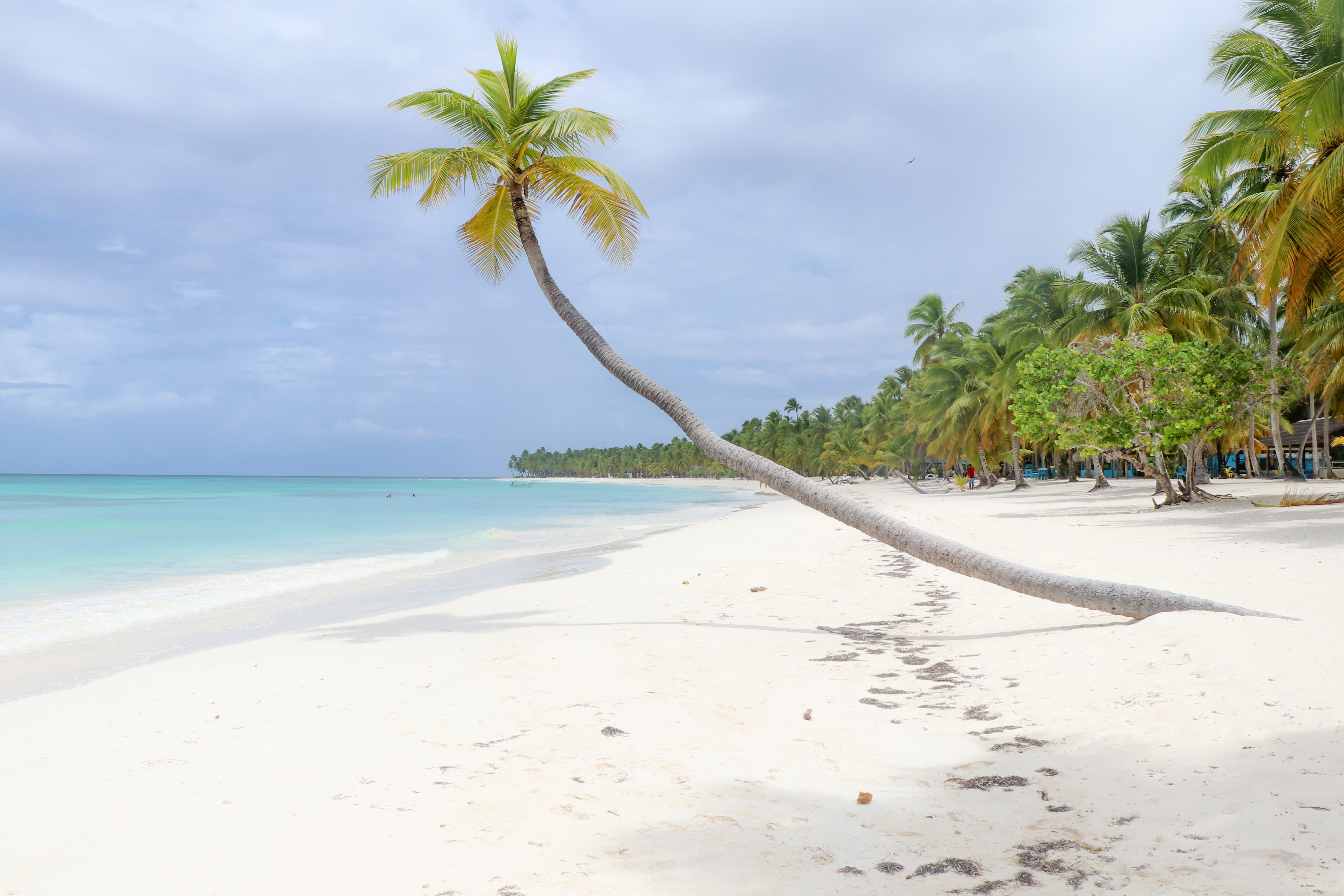 Saona Island Tour with Lunch and Pickup in Bayahibe and La Romana