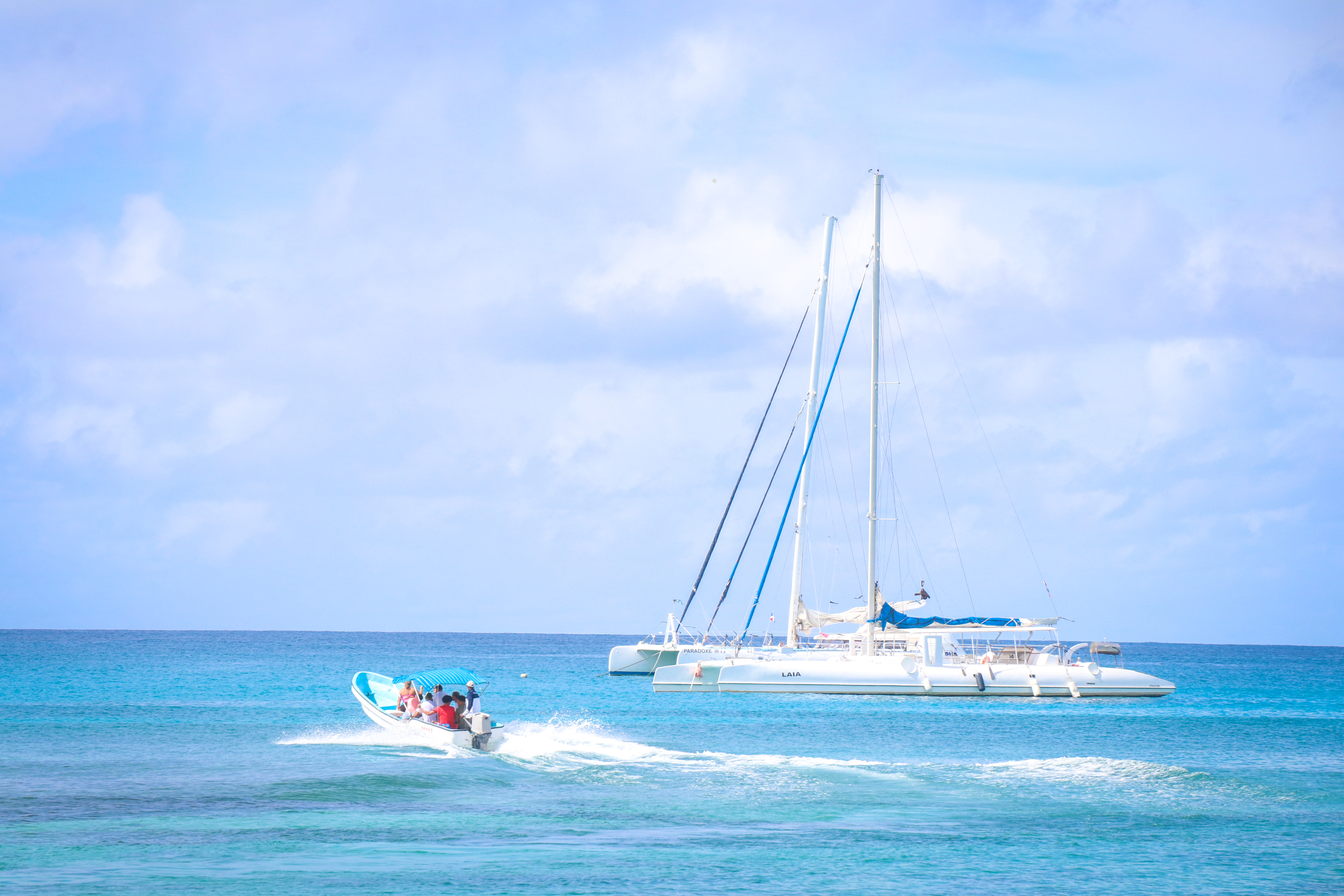 Saona Private Tour with Own Guide and Transport from Punta Cana in Bayahibe and La Romana